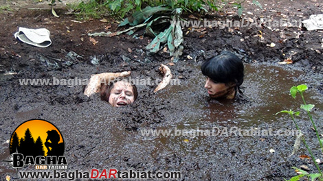 باتلاق، باطلاق، مرداب، عبور از مرداب، زندگی در شرایط سخت ، زندگي در شرايط سخت ، مهارت زنده ماندن در طبیعت ، سازگاری با طبیعت ، سازگاري با طبيعت ،هنر زنده ماندن در شرایط سخت ، زنده ماندن در طبیعت ، بقا در طبیعت ، مهارت های زنده ماندن در شرایط سخت ، مهارت هاي زنده ماندن در شرايط سخت ، تله ، تله گذاری ، تله گذاري ، جهت یابی ، جهت يابي ، آتش ، آب ، چاقو