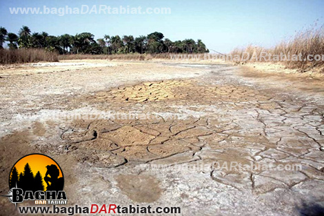 باتلاق، باطلاق، مرداب، عبور از مرداب، زندگی در شرایط سخت ، زندگي در شرايط سخت ، مهارت زنده ماندن در طبیعت ، سازگاری با طبیعت ، سازگاري با طبيعت ،هنر زنده ماندن در شرایط سخت ، زنده ماندن در طبیعت ، بقا در طبیعت ، مهارت های زنده ماندن در شرایط سخت ، مهارت هاي زنده ماندن در شرايط سخت ، تله ، تله گذاری ، تله گذاري ، جهت یابی ، جهت يابي ، آتش ، آب ، چاقو