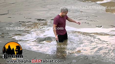 باتلاق، باطلاق، مرداب، عبور از مرداب، زندگی در شرایط سخت ، زندگي در شرايط سخت ، مهارت زنده ماندن در طبیعت ، سازگاری با طبیعت ، سازگاري با طبيعت ،هنر زنده ماندن در شرایط سخت ، زنده ماندن در طبیعت ، بقا در طبیعت ، مهارت های زنده ماندن در شرایط سخت ، مهارت هاي زنده ماندن در شرايط سخت ، تله ، تله گذاری ، تله گذاري ، جهت یابی ، جهت يابي ، آتش ، آب ، چاقو