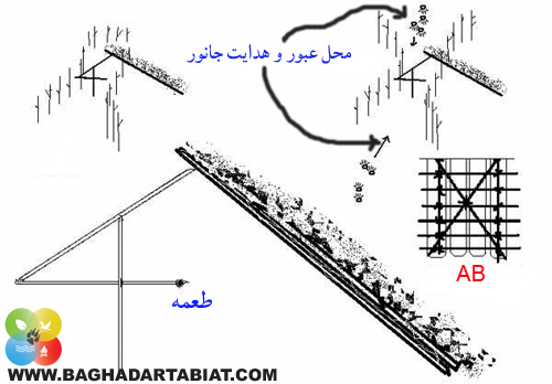 تله گذاری، زندگی در شرایط سخت ، زندگي در شرايط سخت ، مهارت زنده ماندن در طبیعت ، سازگاری با طبیعت ، سازگاري با طبيعت ،هنر زنده ماندن در شرایط سخت ، زنده ماندن در طبیعت ، بقا در طبیعت ، مهارت های زنده ماندن در شرایط سخت ، مهارت هاي زنده ماندن در شرايط سخت ، تله ، تله گذاری ، تله گذاري ، جهت یابی ، جهت يابي ، آتش ، آب ، چاقو