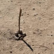 جهت یابی بدون قطب نما – 1