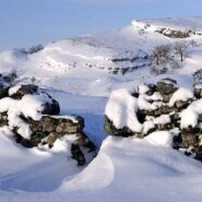 مسیریابی در برف