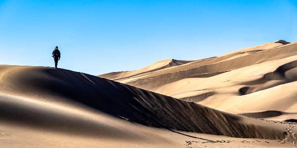 سرگردانی در بیابان