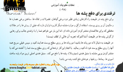 یک ترفند برای دفع پشه ها