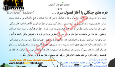 دره های جنگلی در فصول سرد!