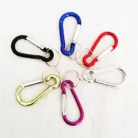 کارابین جاسوئیچی