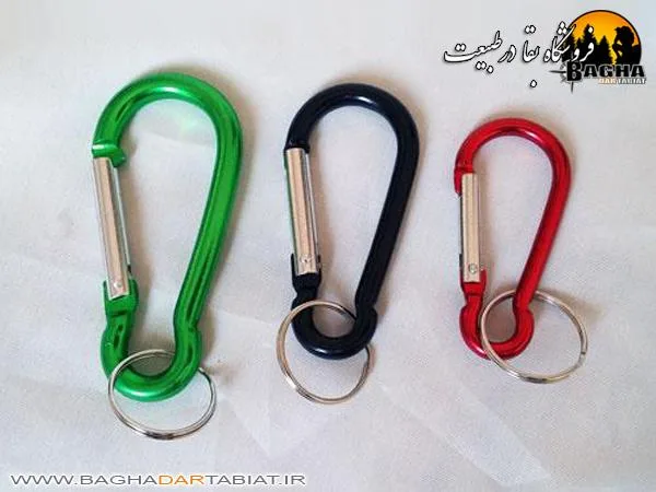 کارابین جاسوئیچی