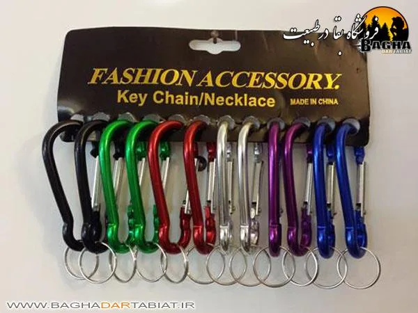 کارابین جاسوئیچی