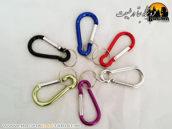 کارابین جاسوئیچی